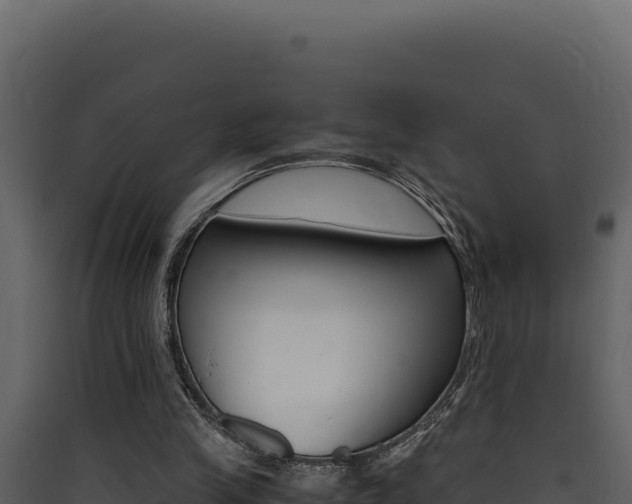 X0000090430245200707131014