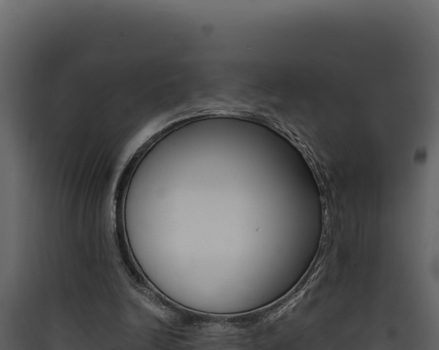 X0000090430246200707131014