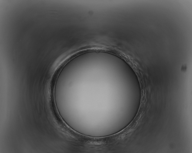 X0000090430247200707131014
