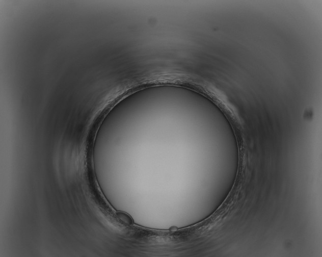 X0000090430250200707131014