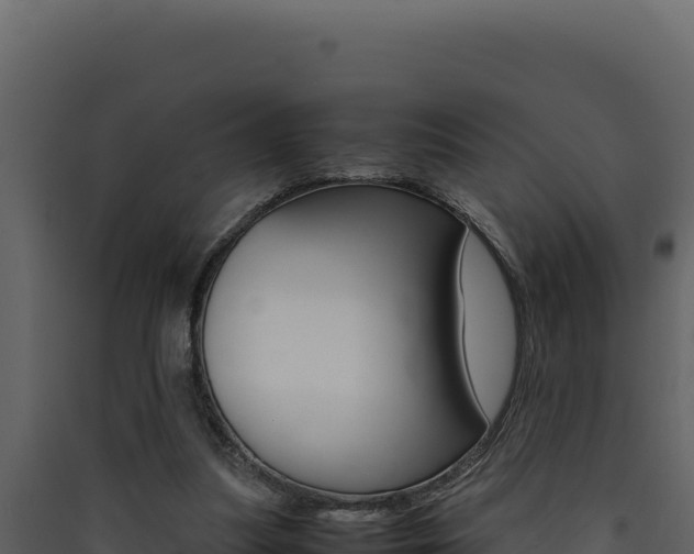 X0000090430251200707131014