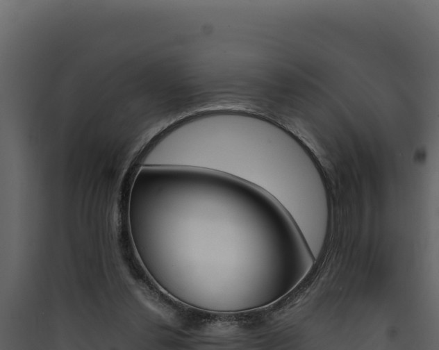 X0000090430252200707131014