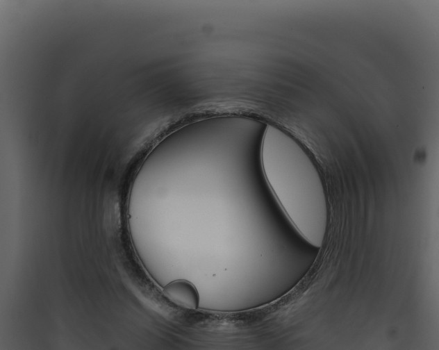 X0000090430254200707131014