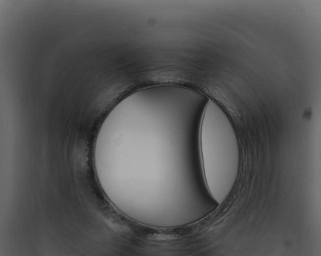 X0000090430255200707131014