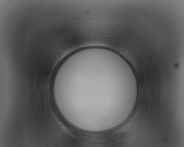 X0000090430256200707131014