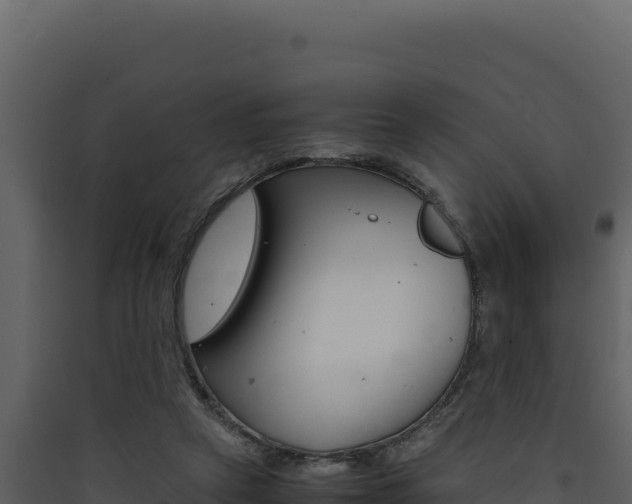 X0000090430257200707131014