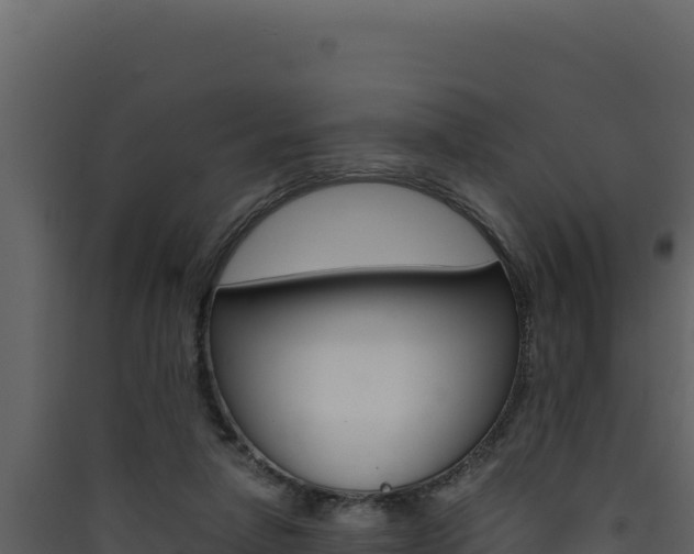 X0000090430258200707131014