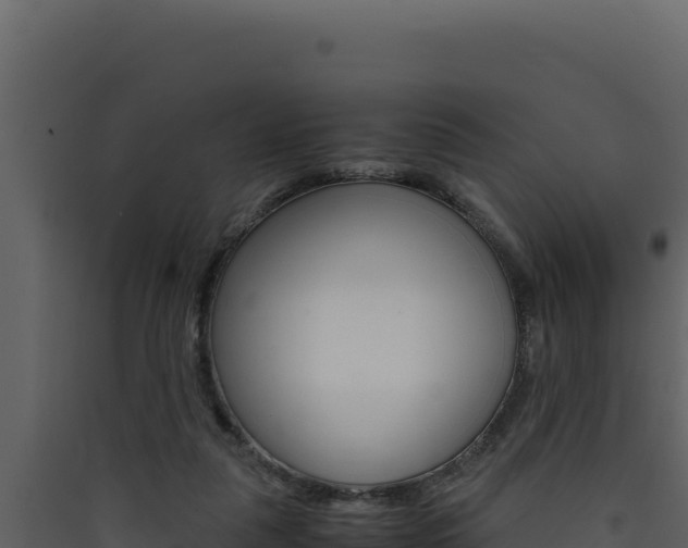 X0000090430259200707131014