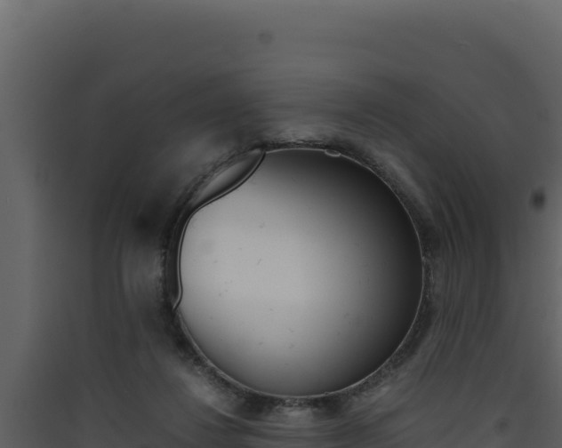 X0000090430260200707131014