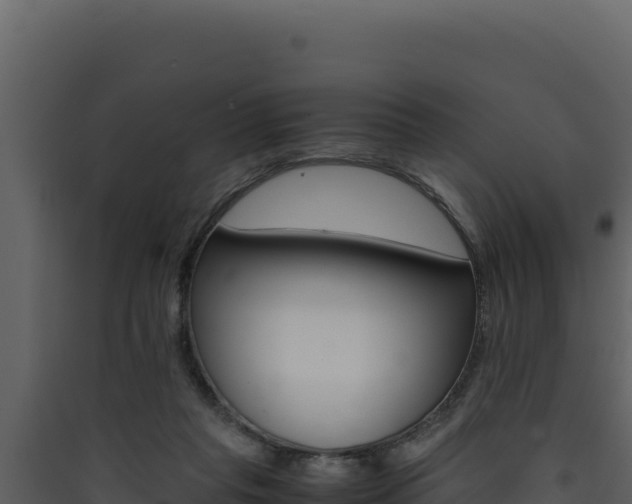 X0000090430261200707131014
