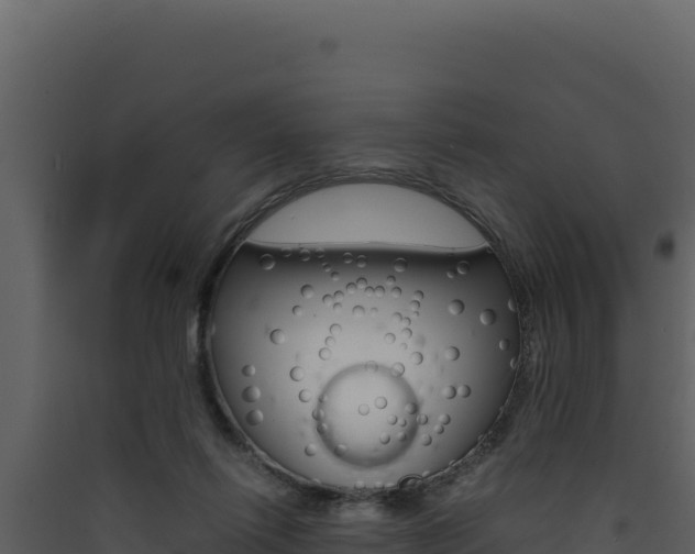 X0000090430262200707131014