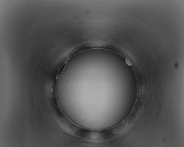 X0000090430264200707131014