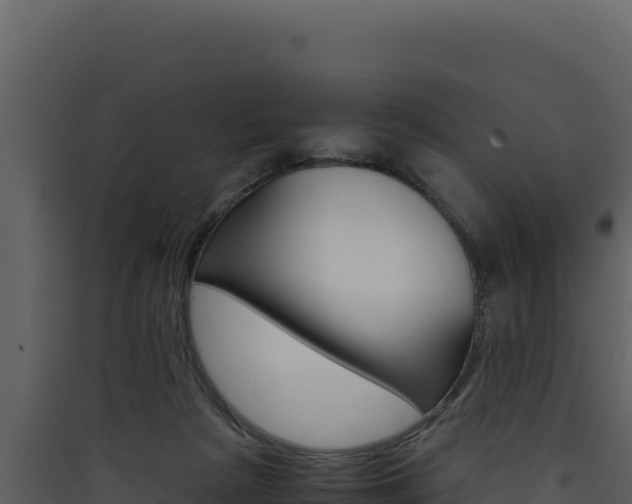 X0000090430265200707131014