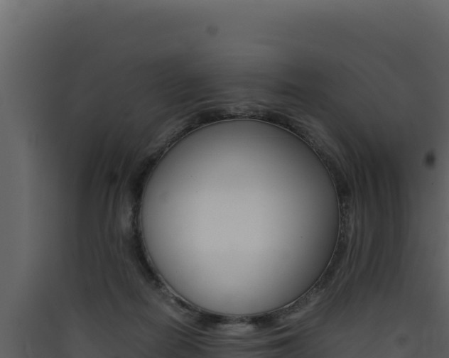 X0000090430266200707131014