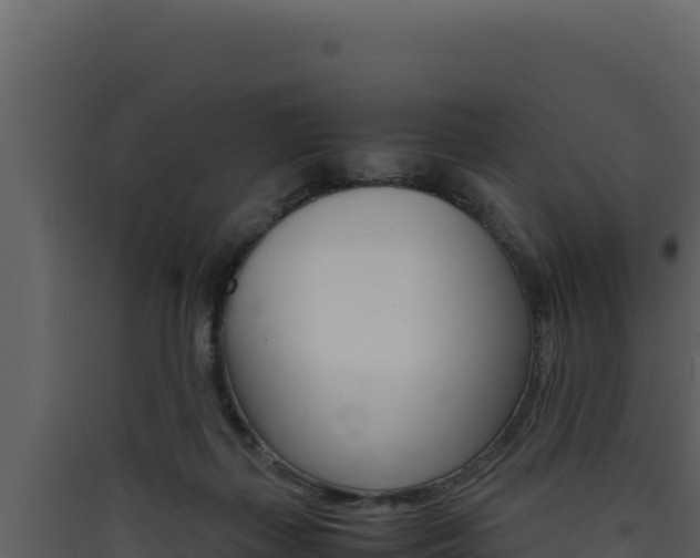 X0000090430267200707131014