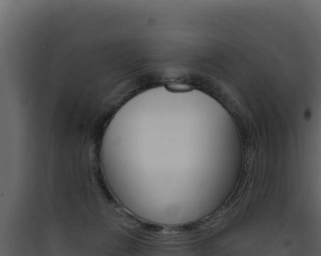 X0000090430270200707131014