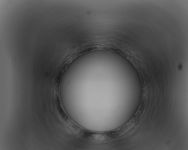 X0000090430272200707131014