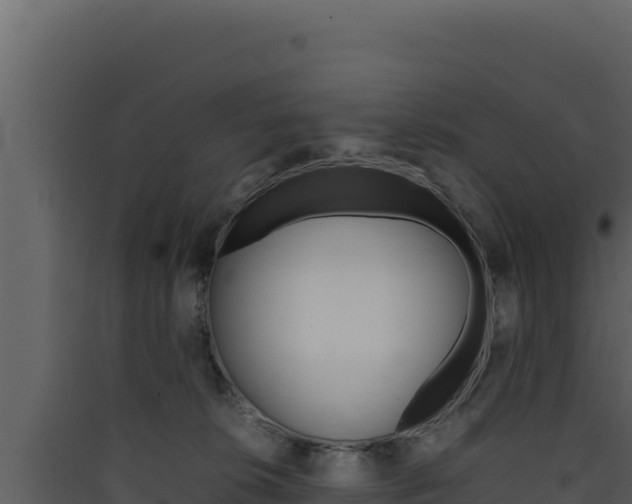 X0000090430276200707131015