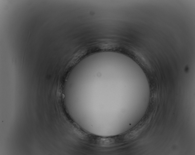 X0000090430277200707131015