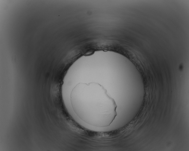 X0000090430278200707131015