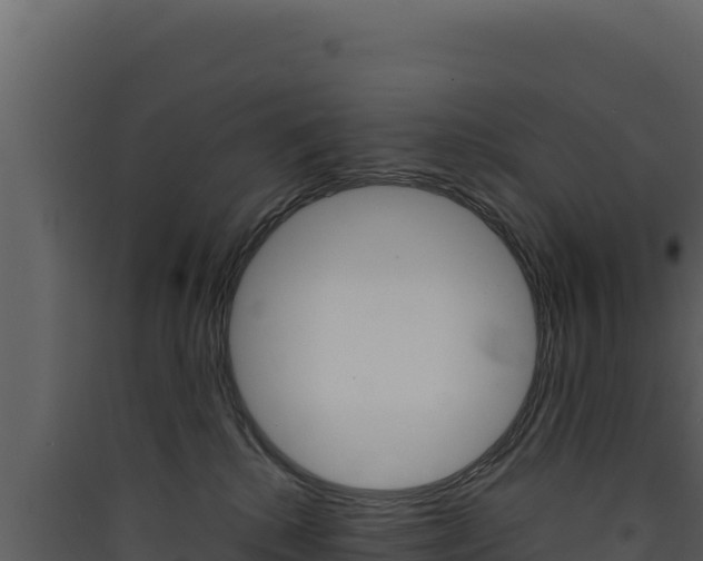 X0000090430280200707131015