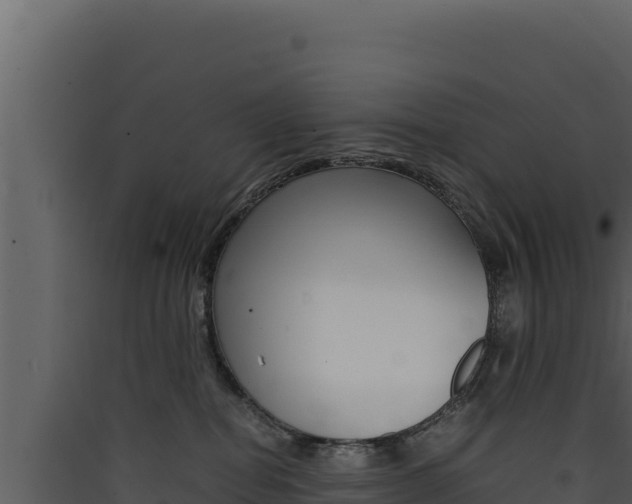 X0000090430282200707131015