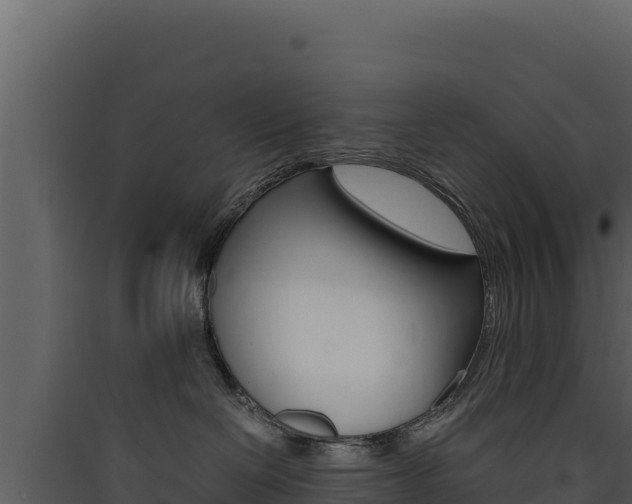 X0000090430286200707131015