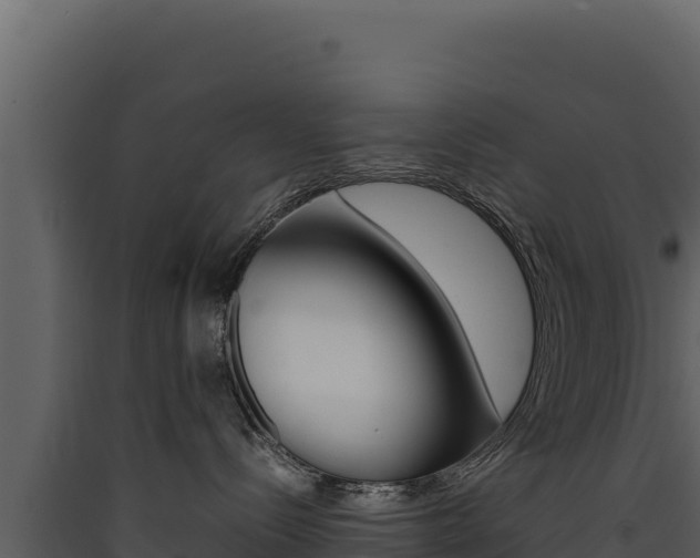 X0000090430288200707131015