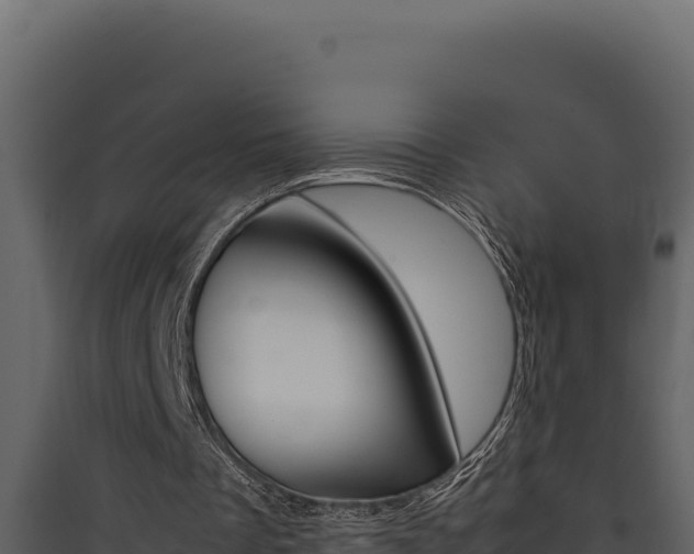 X0000090430289200707131014