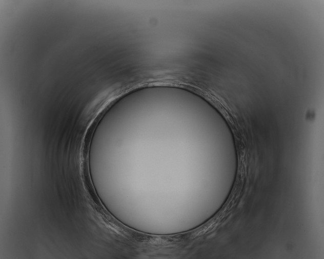 X0000090430290200707131014
