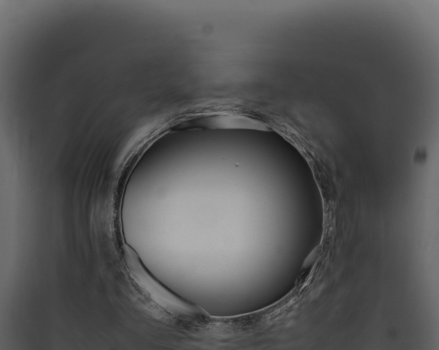 X0000090430293200707131014