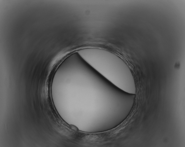 X0000090430294200707131014