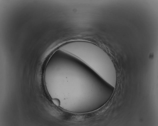 X0000090430295200707131014