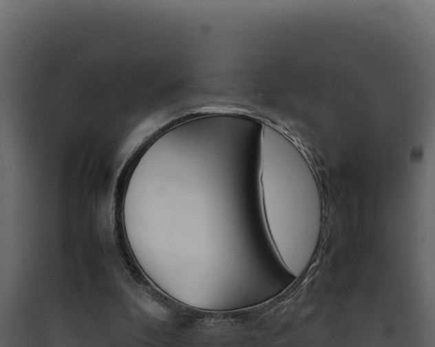 X0000090430296200707131014