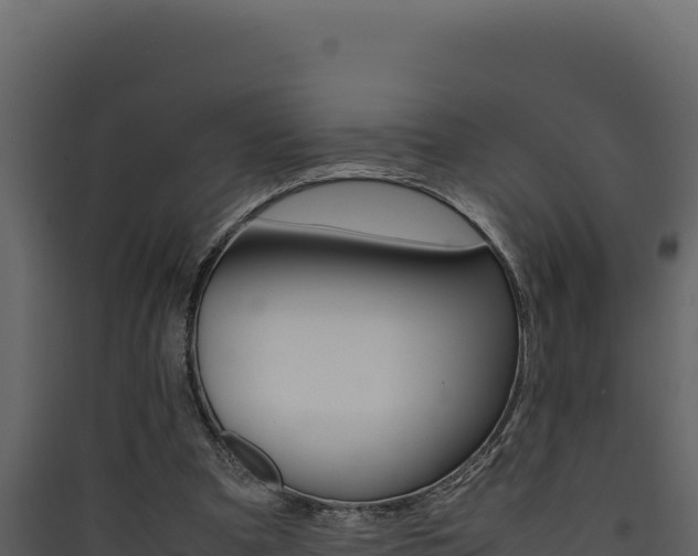 X0000090430297200707131014