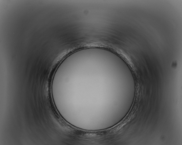 X0000090430298200707131014