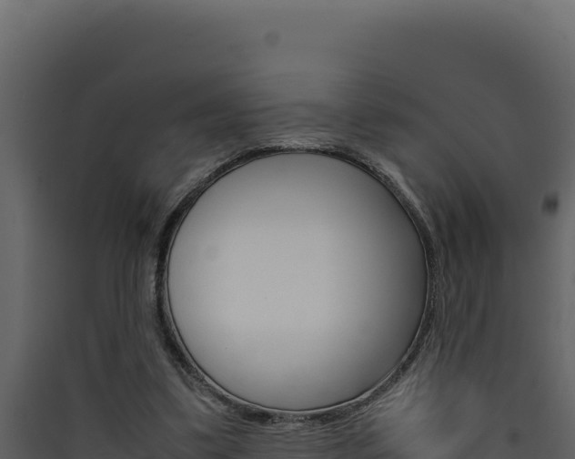 X0000090430299200707131014