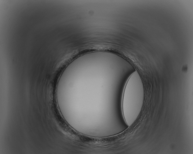 X0000090430303200707131014