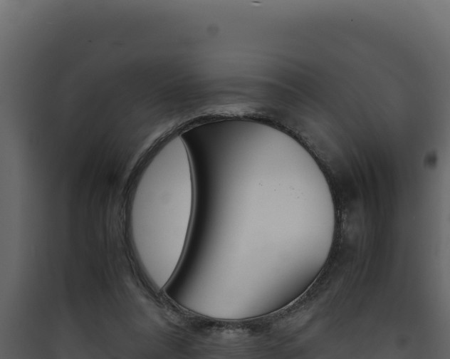 X0000090430304200707131014
