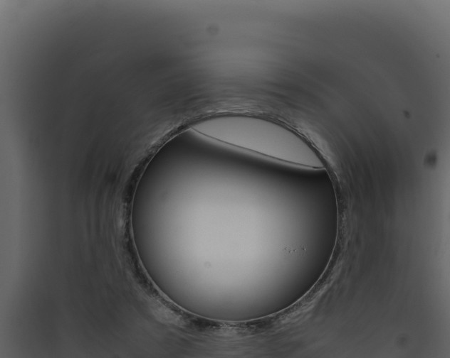 X0000090430305200707131014