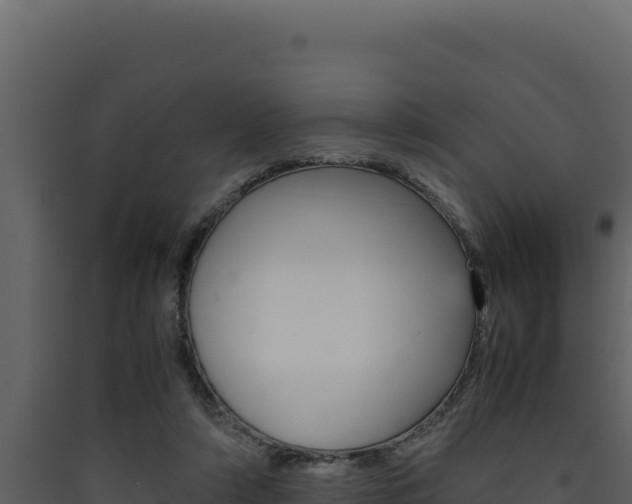 X0000090430306200707131014