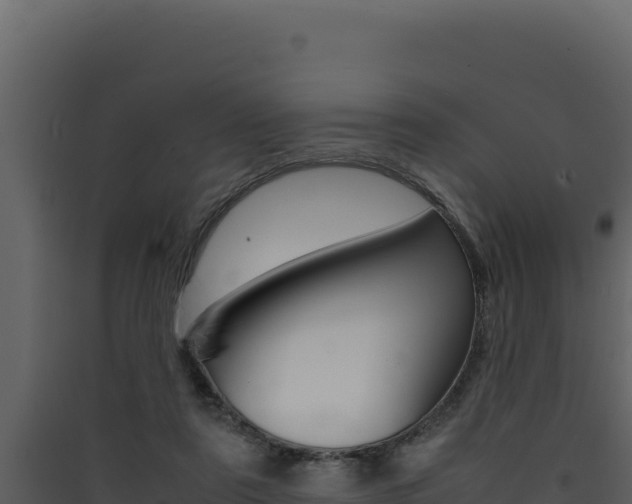 X0000090430307200707131014