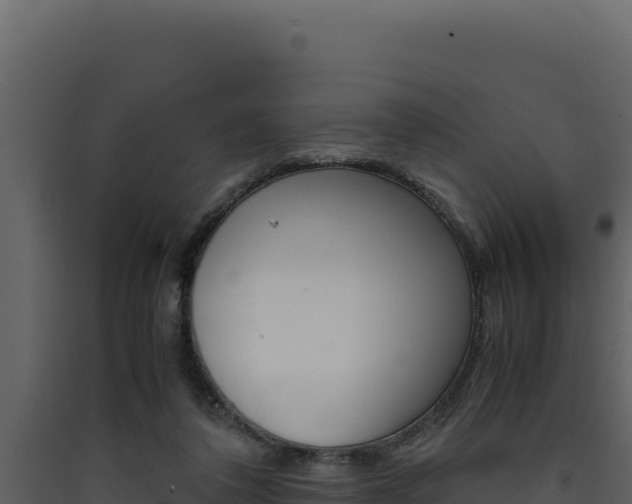 X0000090430308200707131014