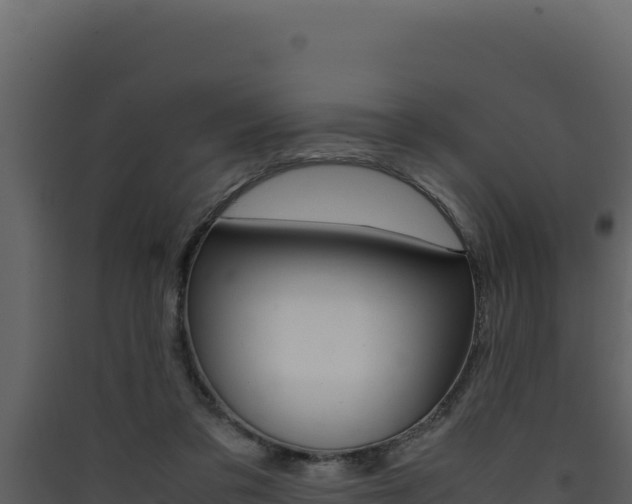 X0000090430309200707131014