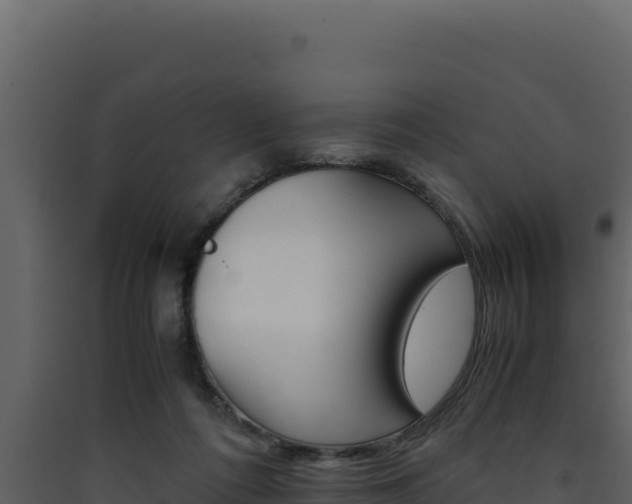 X0000090430312200707131014