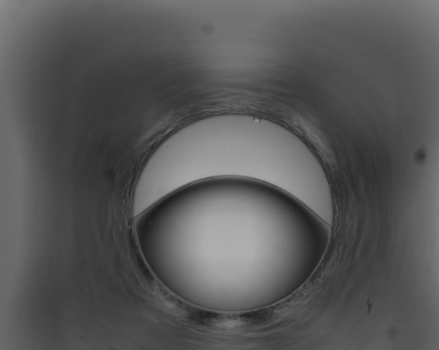 X0000090430313200707131014