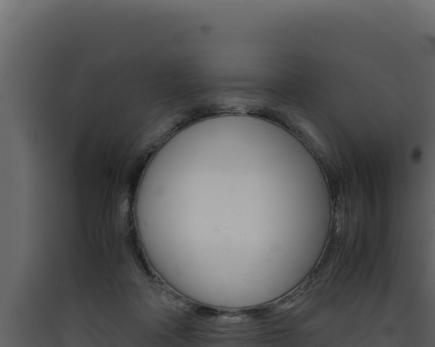 X0000090430314200707131014