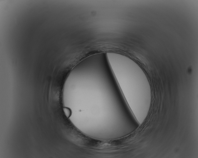 X0000090430315200707131014