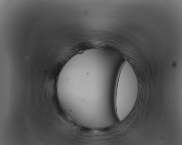 X0000090430319200707131014