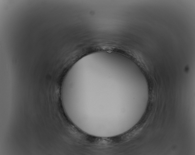 X0000090430321200707131014